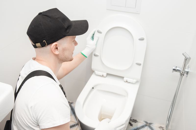 Toilet Repair detail